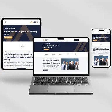 Mockup of the nDEAC website displayed on a tablet, laptop, and smartphone, showcasing a responsive web design on light grey background.