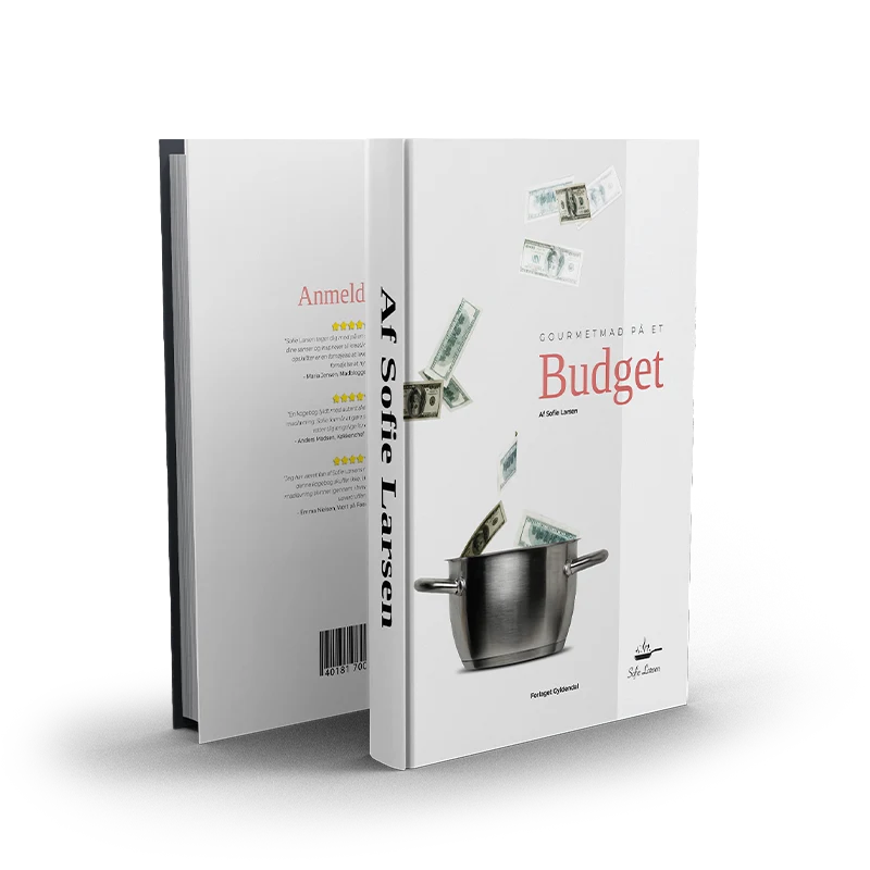 Book titled “Gourmetmad på et Budget” by Sofie Larsen, with dollar bills falling into a cooking pot on the cover.