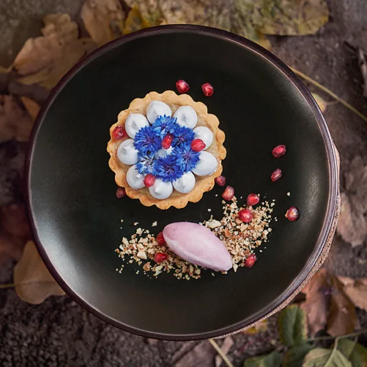 Elegant dessert plate with a dark background, topped with blue cornflowers, pomegranate seeds, and a scoop of sorbet, placed on forest floor.