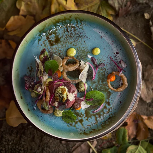 Creative fine dining dish on a blue ceramic plate, garnished with herbs, sauces, and fried elements, set against an autumn leaves background.