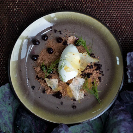 Gourmet dessert on a dark ceramic plate, featuring chocolate soil, white sorbet, fruit gel, and fresh herbs.